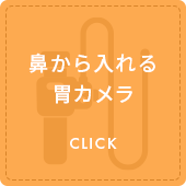 鼻から入れる胃カメラ